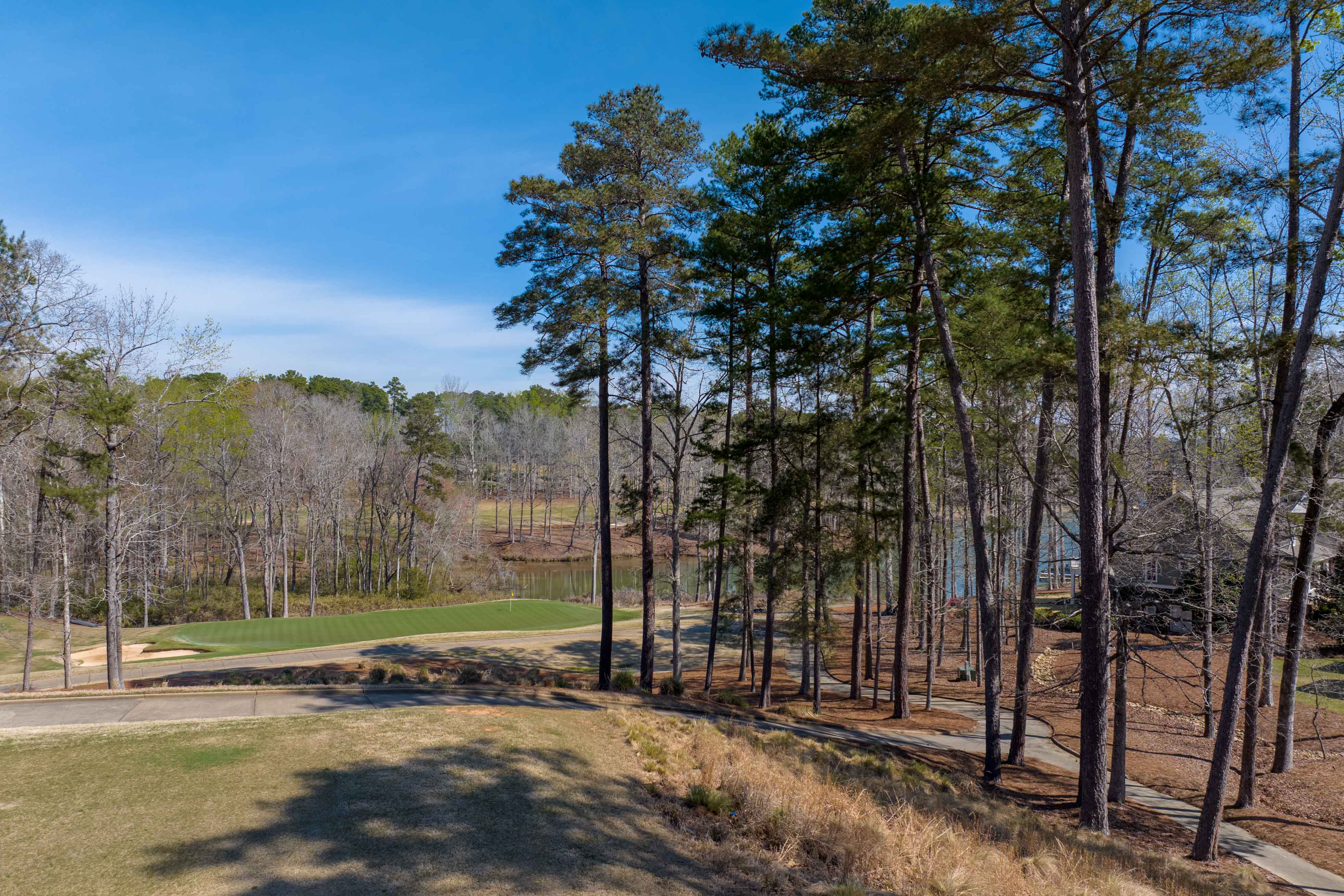 1100 Curtright Place image 5